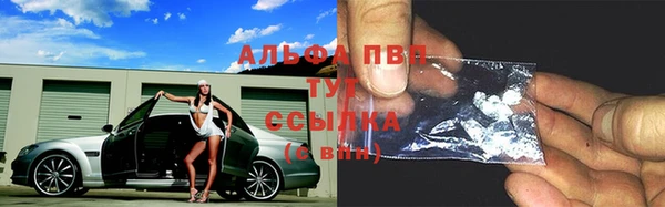 спиды Аркадак
