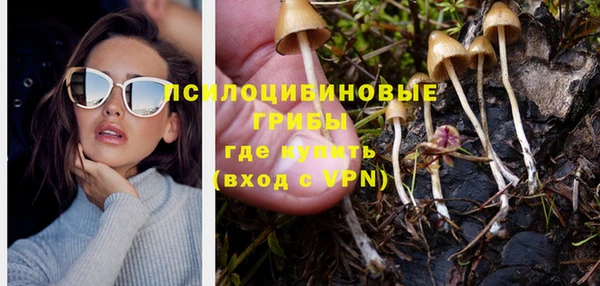 спиды Аркадак