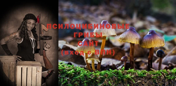 дживик Армянск