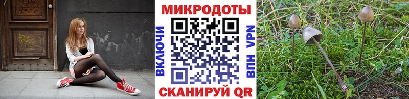 Псилоцибиновые грибы ЛСД  Купить  Сердобск 